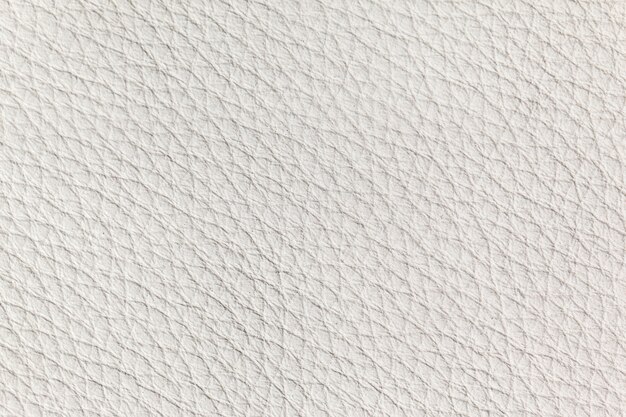 Texture de cuir blanc se bouchent