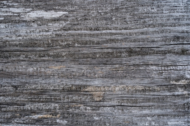 Texture du bois ancien du mur en bois pour le fond et la texture.