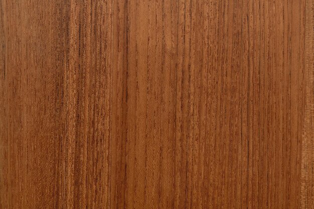 Texture du bois de chêne, fond marron avec espace design