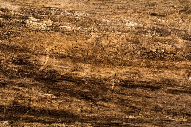 Texture du bois naturel ancien