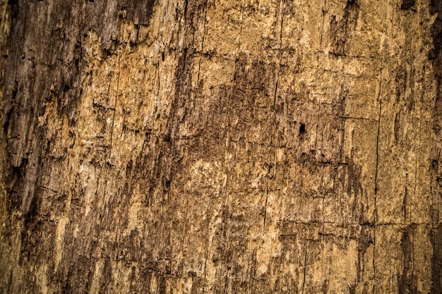 Texture du bois naturel ancien