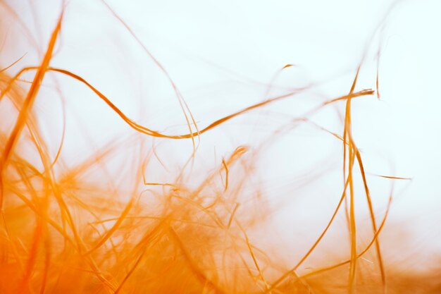 Texture des fibres orange agitant