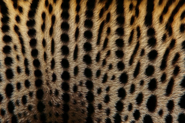 Photo gratuit texture de fourrure motif guépard