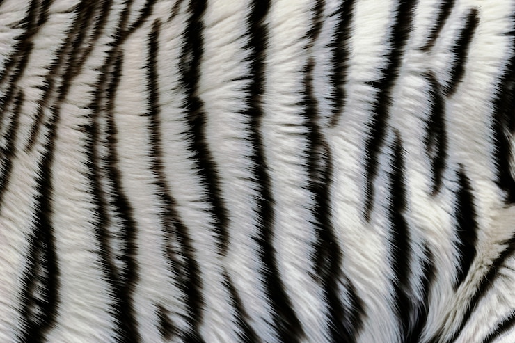 Photo gratuit texture de fourrure motif tigre