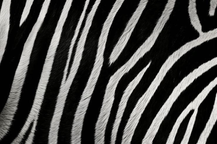Photo gratuit texture de fourrure motif zèbre