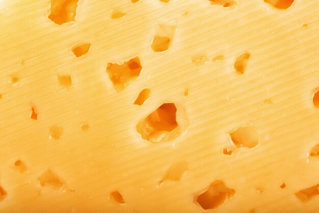 Texture fromage hollandais