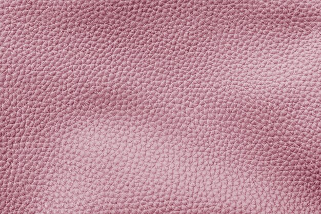 Texture de grain de cuir rose