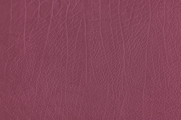 Texture de grain de cuir rose
