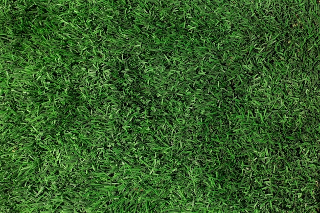 Texture de l&#39;herbe verte gros plan