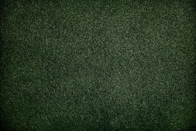 Texture Herbe Verte Surface Fond D'Écran Concept