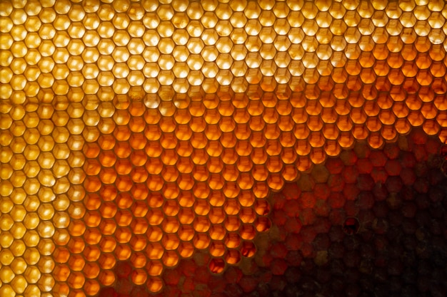 Texture jaune à faisceau d'abeille