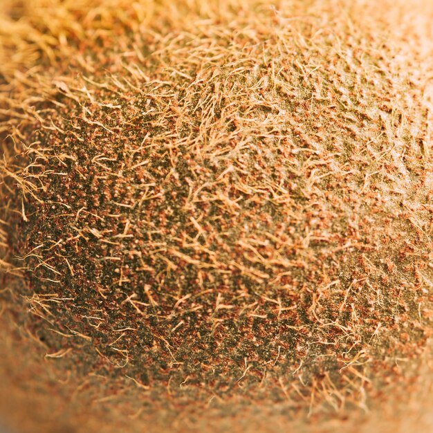 Texture macro kiwi