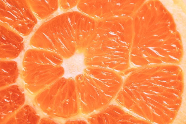 Photo gratuite texture macro orange