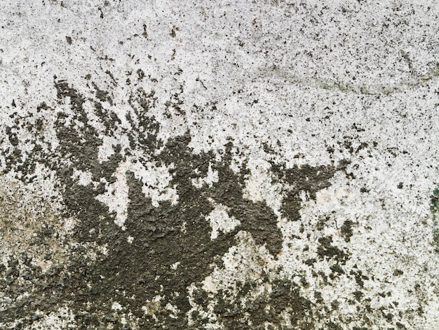 Texture de mur en béton patiné avec lichen noir