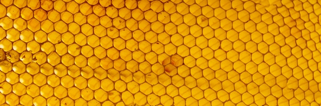 Texture en nid d'abeille jaune