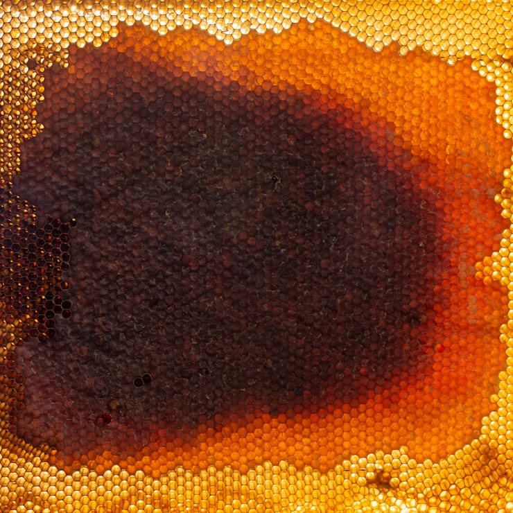 Photo gratuit texture en nid d'abeille jaune