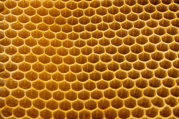 Texture en nid d'abeille jaune