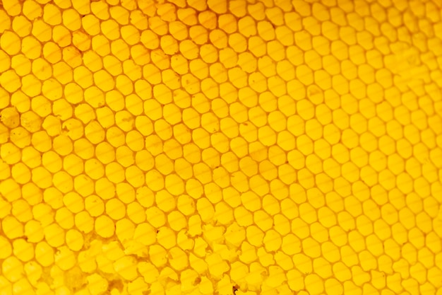 Photo gratuite texture en nid d'abeille jaune