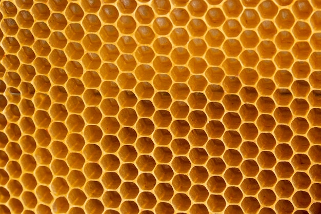 Texture en nid d'abeille jaune