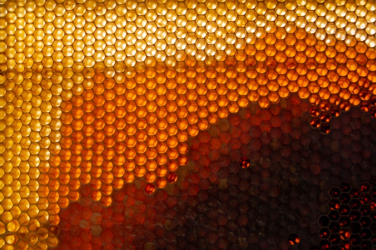 Photo gratuit texture en nid d'abeille jaune