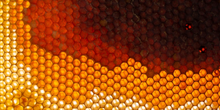 Photo gratuit texture en nid d'abeille jaune