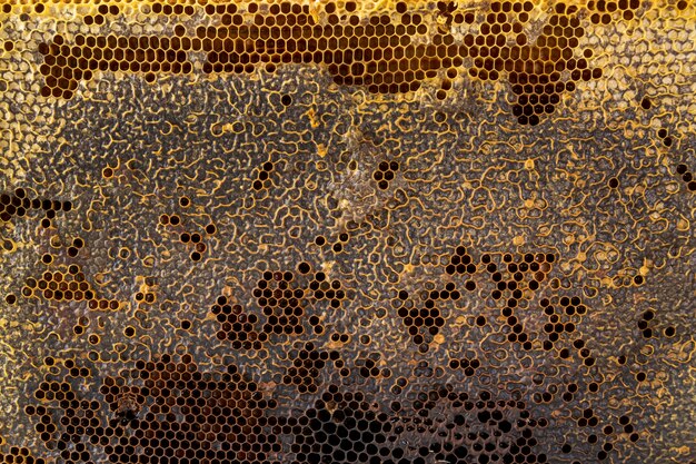 Texture en nid d'abeille jaune