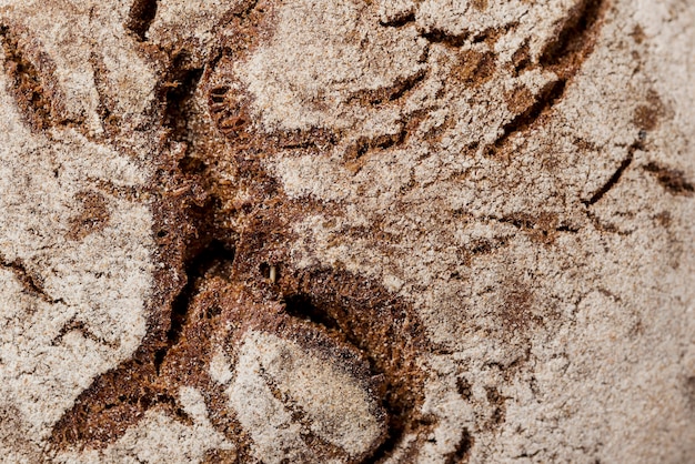 Texture de pain de grains entiers extrêmement gros plan