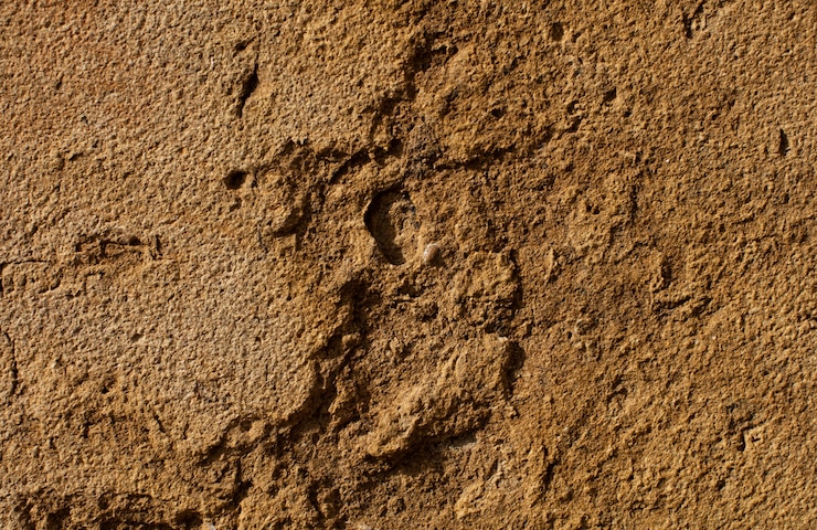 Photo gratuit texture de pierre