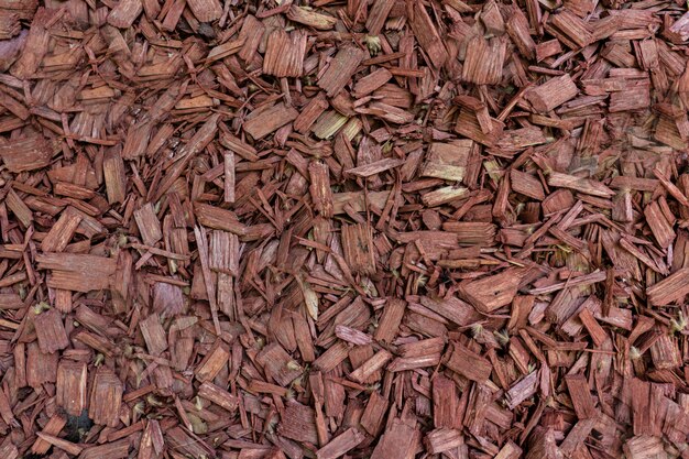 Texture en relief de l'écorce brune d'un arbre se bouchent