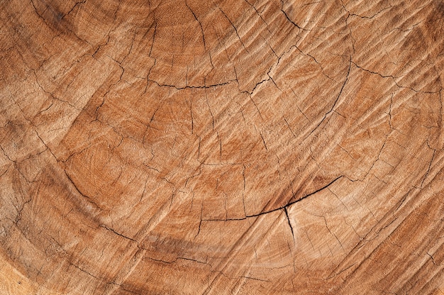 La texture de la surface en bois endommagée