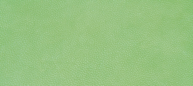 Texture verte en cuir