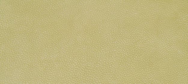 Texture verte en cuir