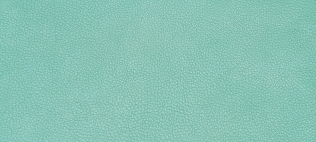 Texture verte en cuir