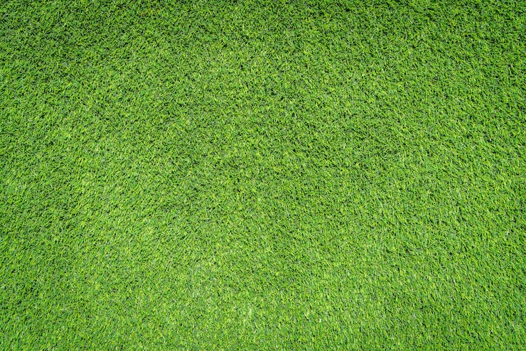 Photo gratuit textures d'herbe verte