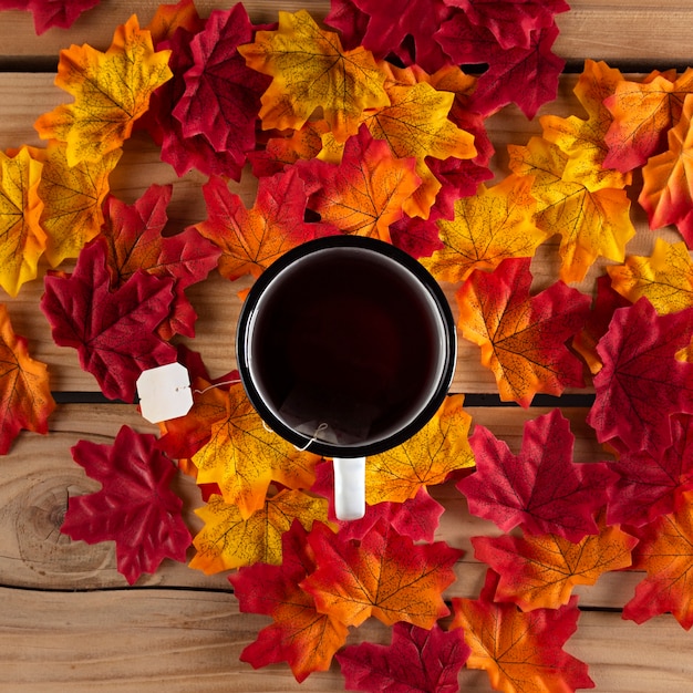 Photo gratuite thé aux feuilles, vue du dessus