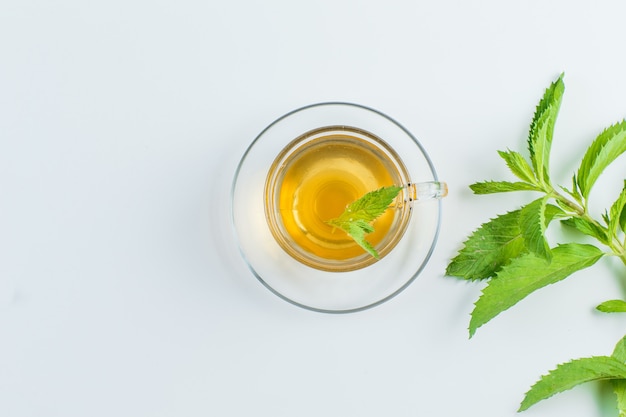 Thé aux herbes dans une tasse sur fond blanc, pose à plat.