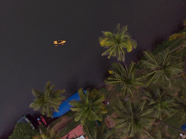 Tir aérien de bateaux sur la plage avec des palmiers