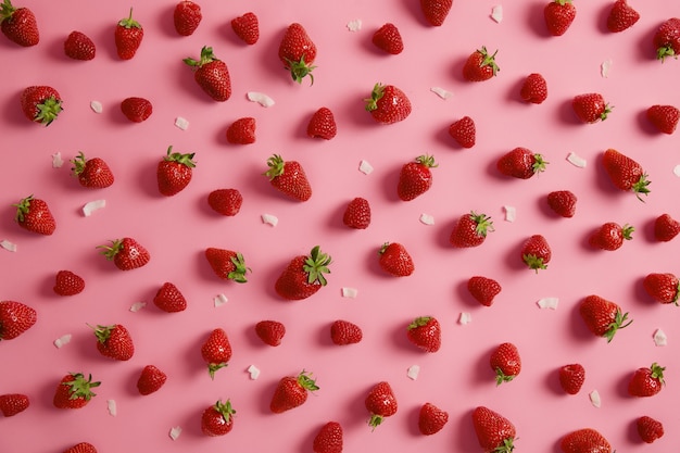 Photo gratuite tir isolé de savoureuse fraise rouge avec tige verte isolée sur fond rose, flocons de noix de coco autour. les fruits juteux d'été peuvent être utilisés dans une variété de confitures, gelées et desserts, en plus de l'alimentation