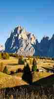 Photo gratuite tir vertical d'arbres et de bâtiments sur les collines avec des montagnes au loin en dolomite italie