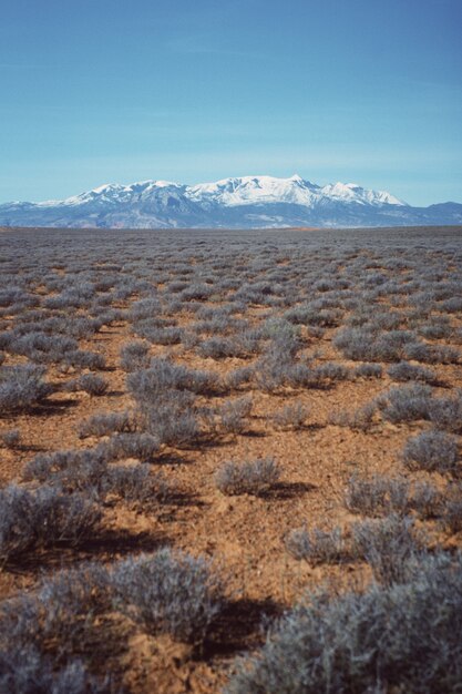 Tir vertical d'un beau champ désertique avec de la verdure sèche et une colline enneigée visible au loin