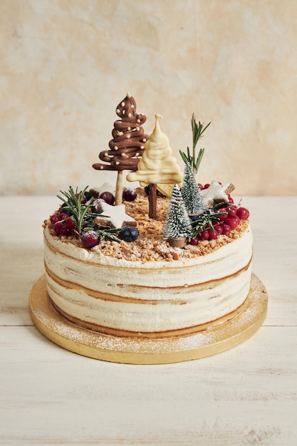 Tir vertical d'un beau gâteau avec des garnitures de Noël