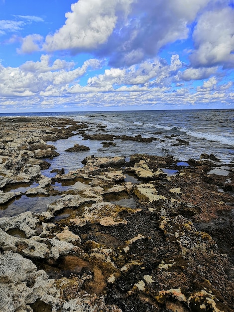 Tir vertical d'une belle plage rocheuse à Malte capturée par une belle journée ensoleillée