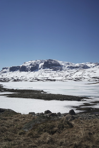 Photo gratuite tir vertical de belles montagnes enneigées