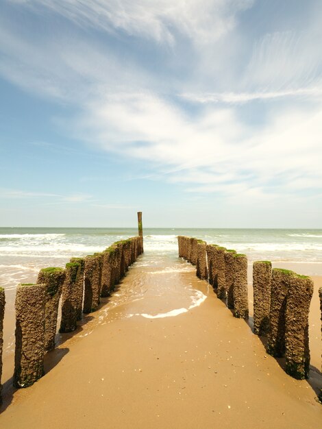 Tir vertical de brise-lames en bois sur la plage de sable doré avec un ciel clair et ensoleillé