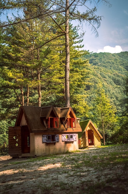 Tir vertical de cabanes en bois dans une forêt couverte de verdure en Corée du Sud