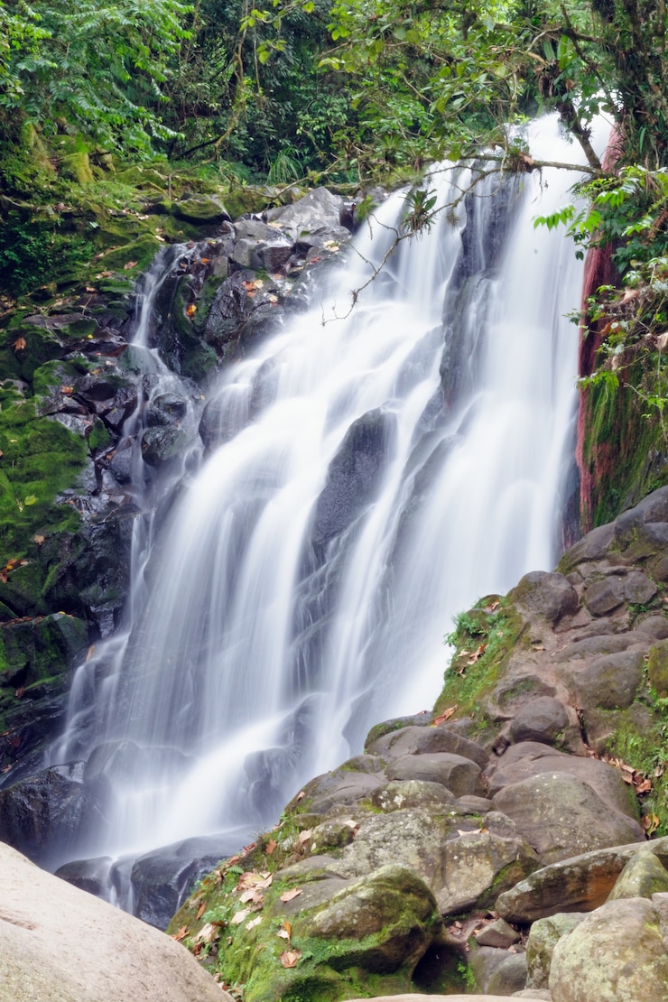 Photo gratuit tir vertical d'une cascade pendant la journée