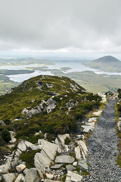 Tir vertical d'un chemin étroit dans le parc national du Connemara en Irlande sous un ciel nuageux