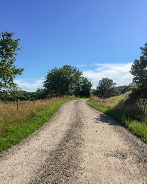 Tir vertical d'un chemin de terre au milieu des champs herbeux et des arbres en Suède