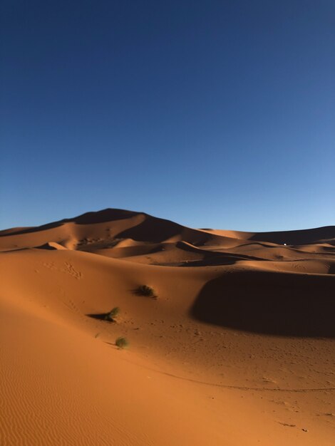 Tir vertical d'un désert avec des dunes de sable sur une journée ensoleillée
