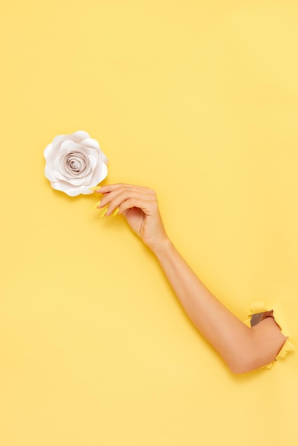 Tir vertical du bras d'une femme attrapant une rose sur fond jaune